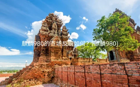 麒麟980的市场反响如何？(麒麟980)