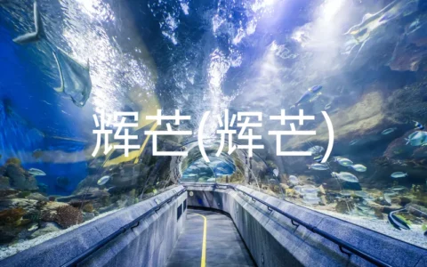 辉芒(辉芒)